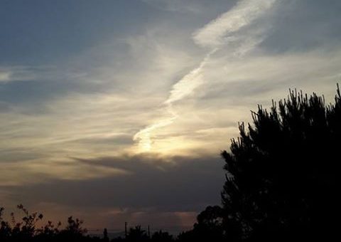 Scie comiche